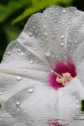 5206cc4c44a04de96d3920af9adbcc71