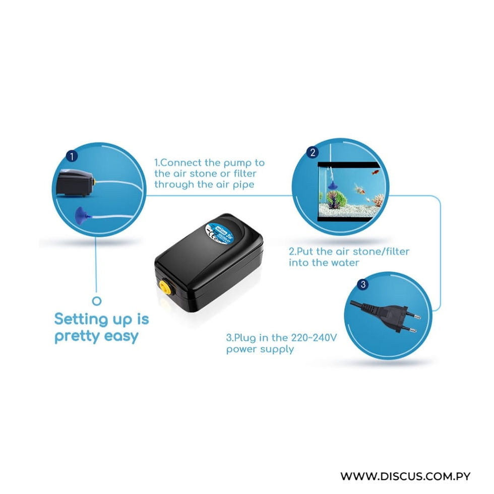 Miniatura: Bomba de Aire Silenciosa 3W, 3 l/min