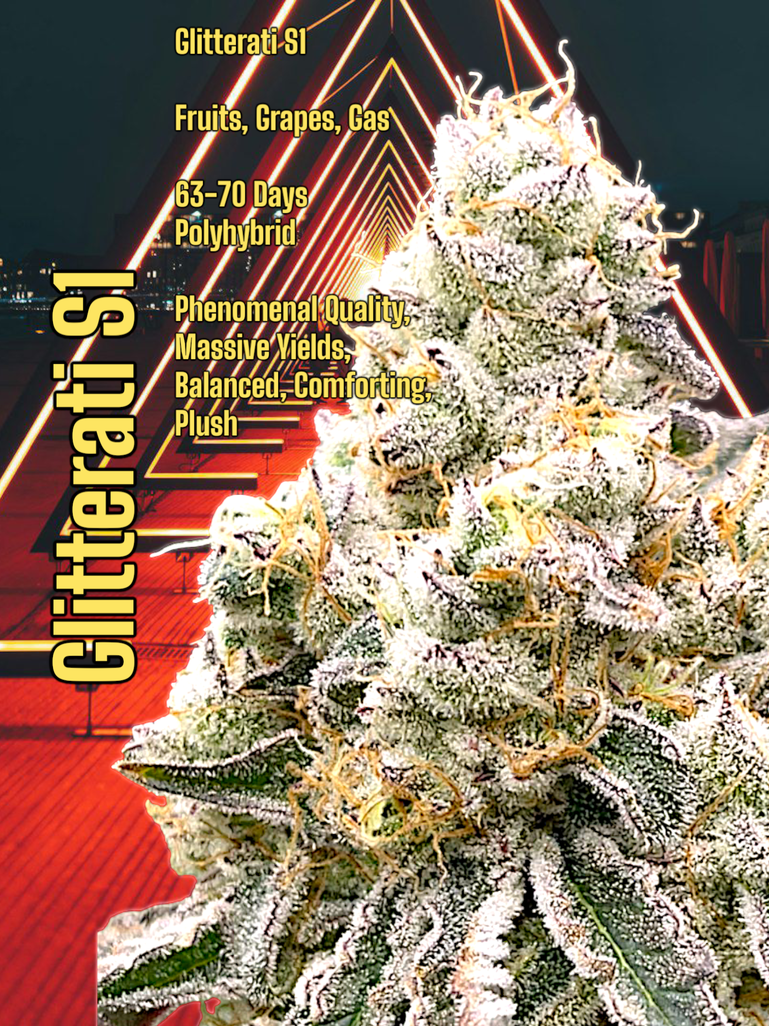 ARTISAN BIRD FEED: GLITTERATI S1