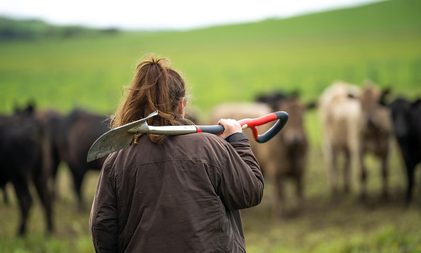 Girl studying a soil and plant sample in field.jpeg