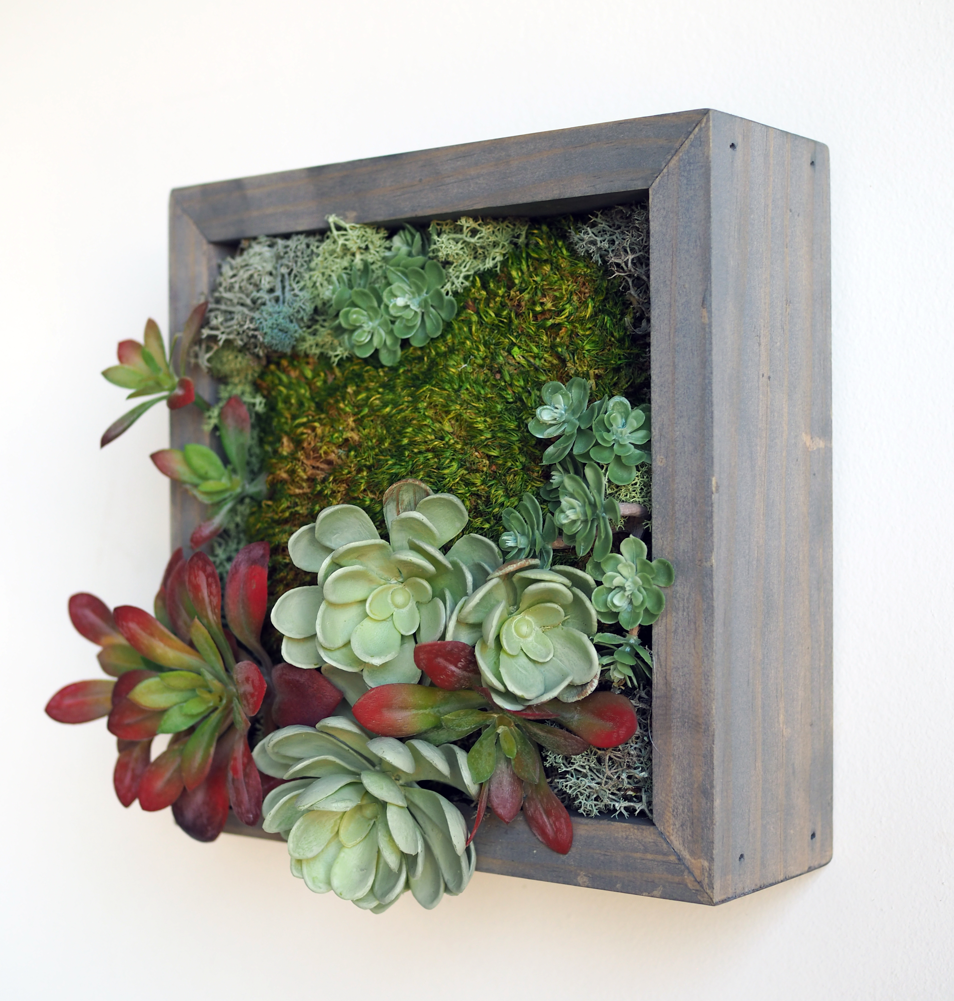 10x10 Moss Art