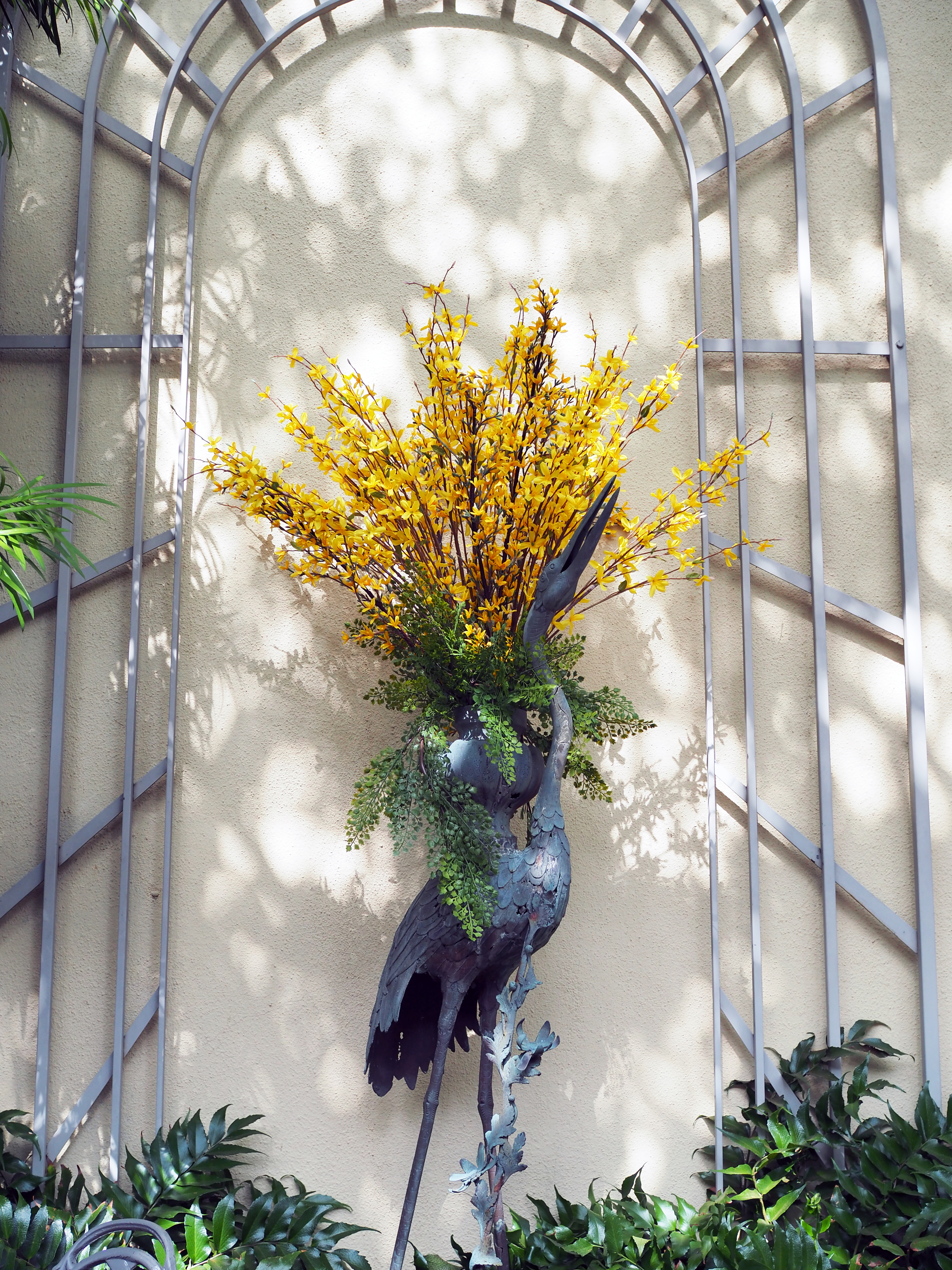 Forsythia branches and Spray