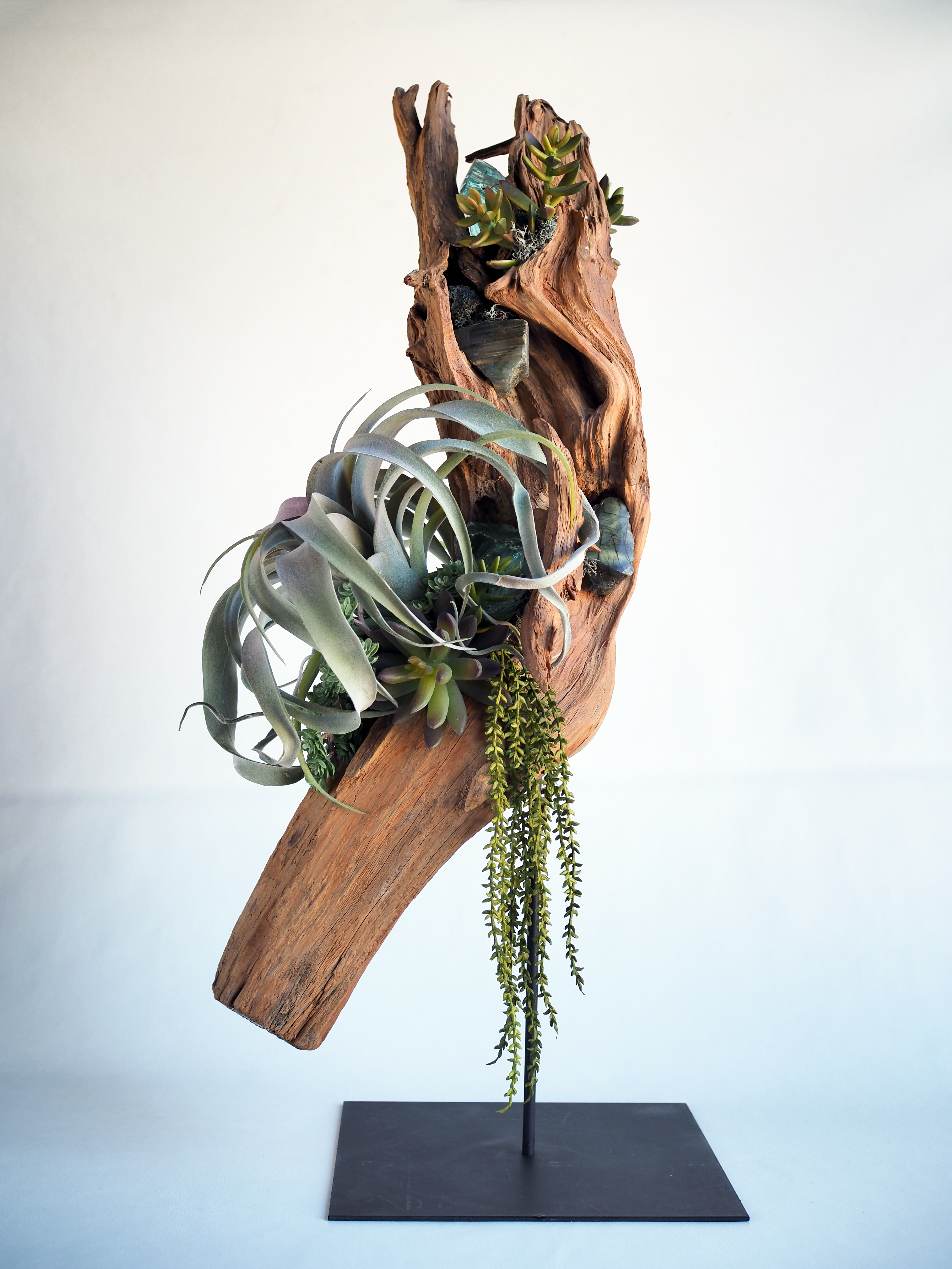 Driftwood Sculpture