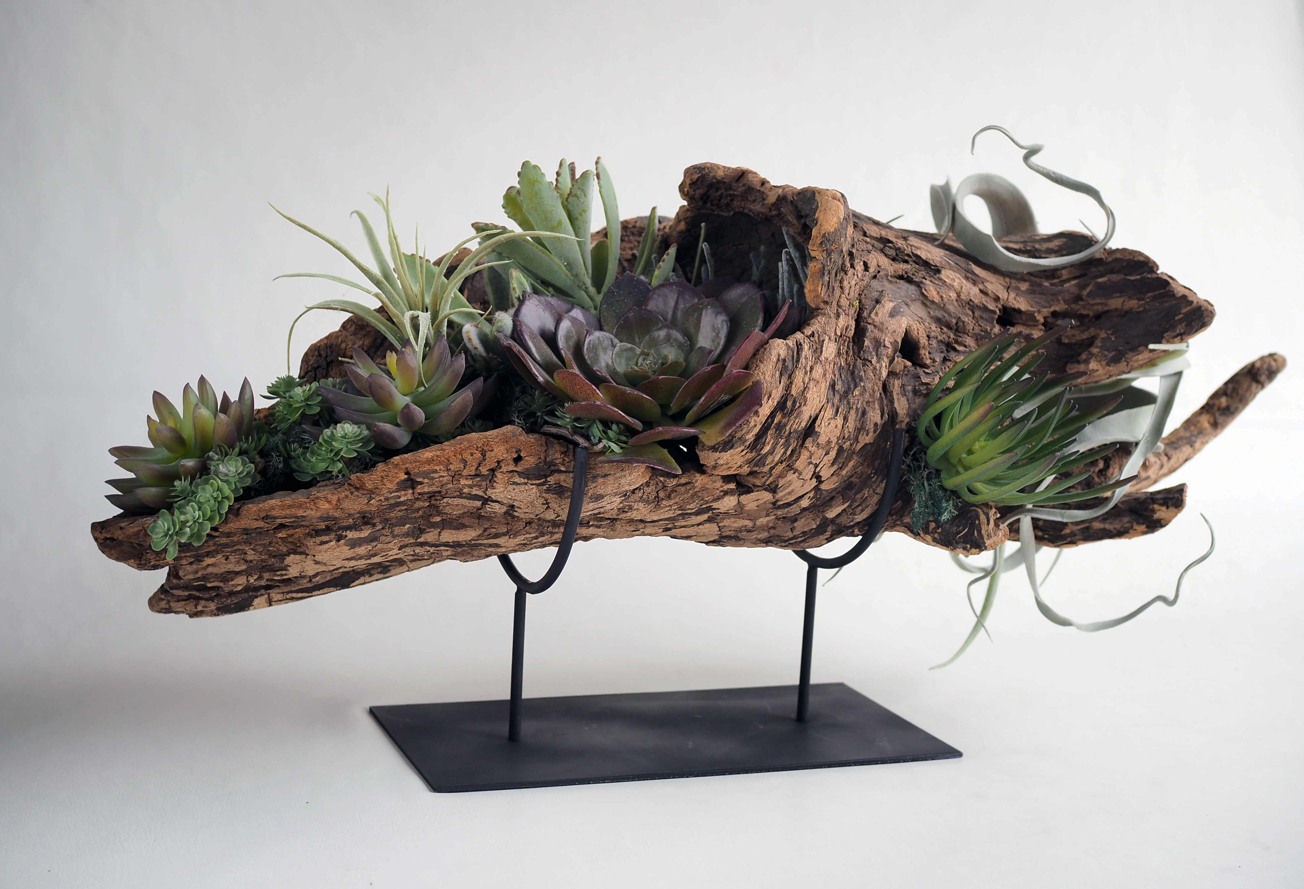 Driftwood Sculpture
