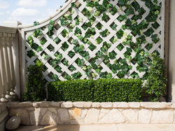 Boxwood hedges and Ivy add elegance