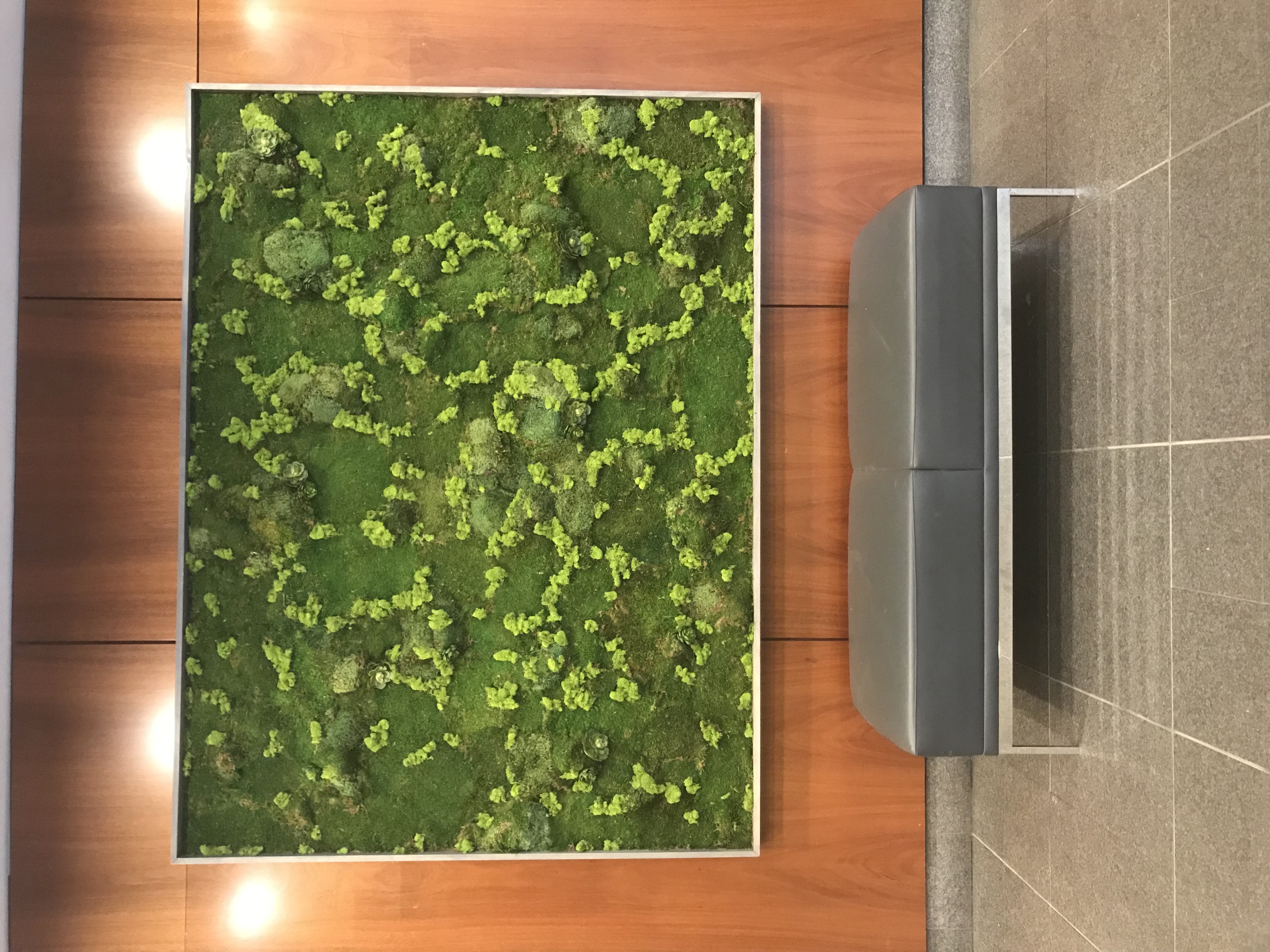 Preserved Moss Wall