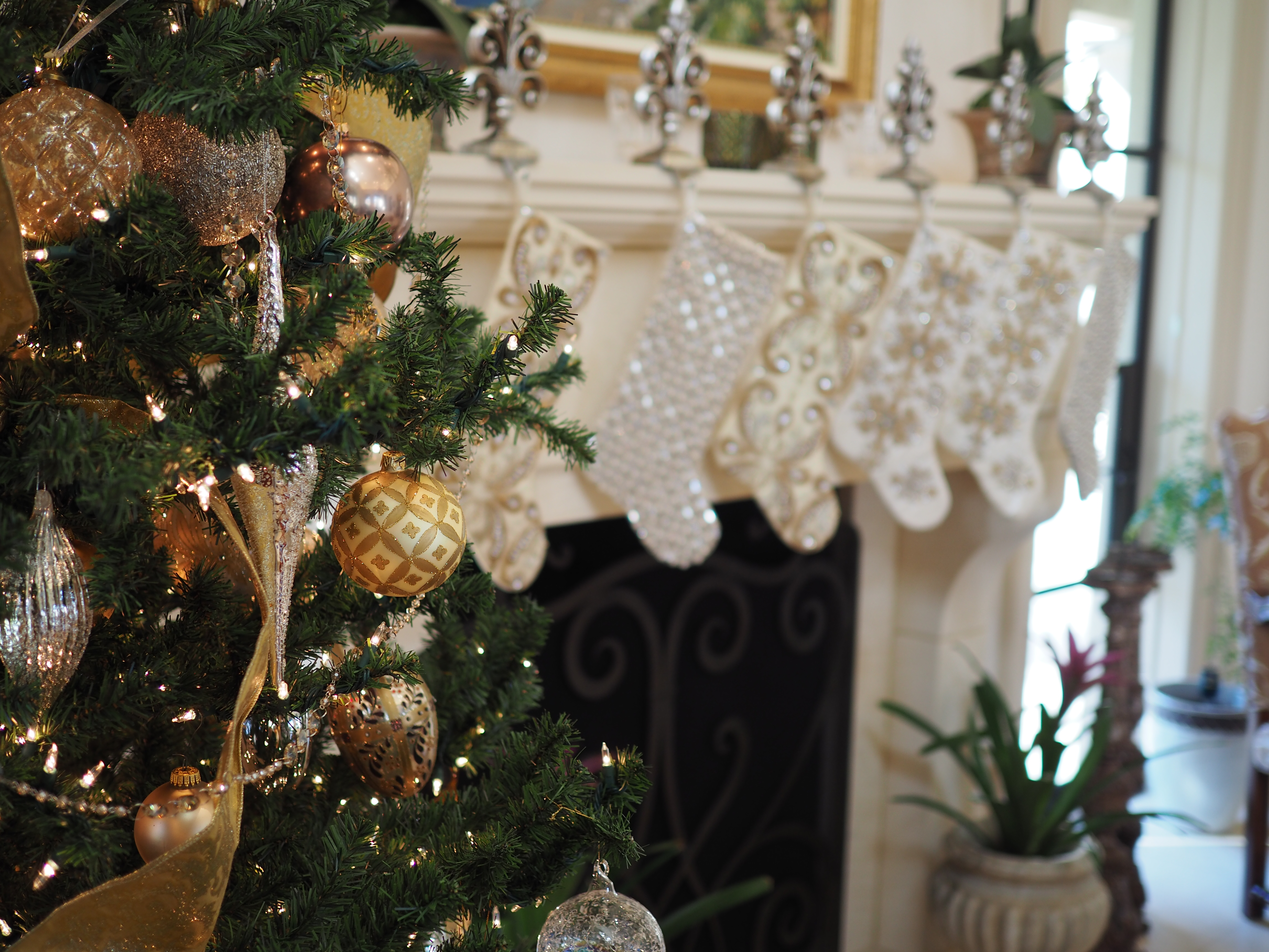 Tree, Stockings, and more