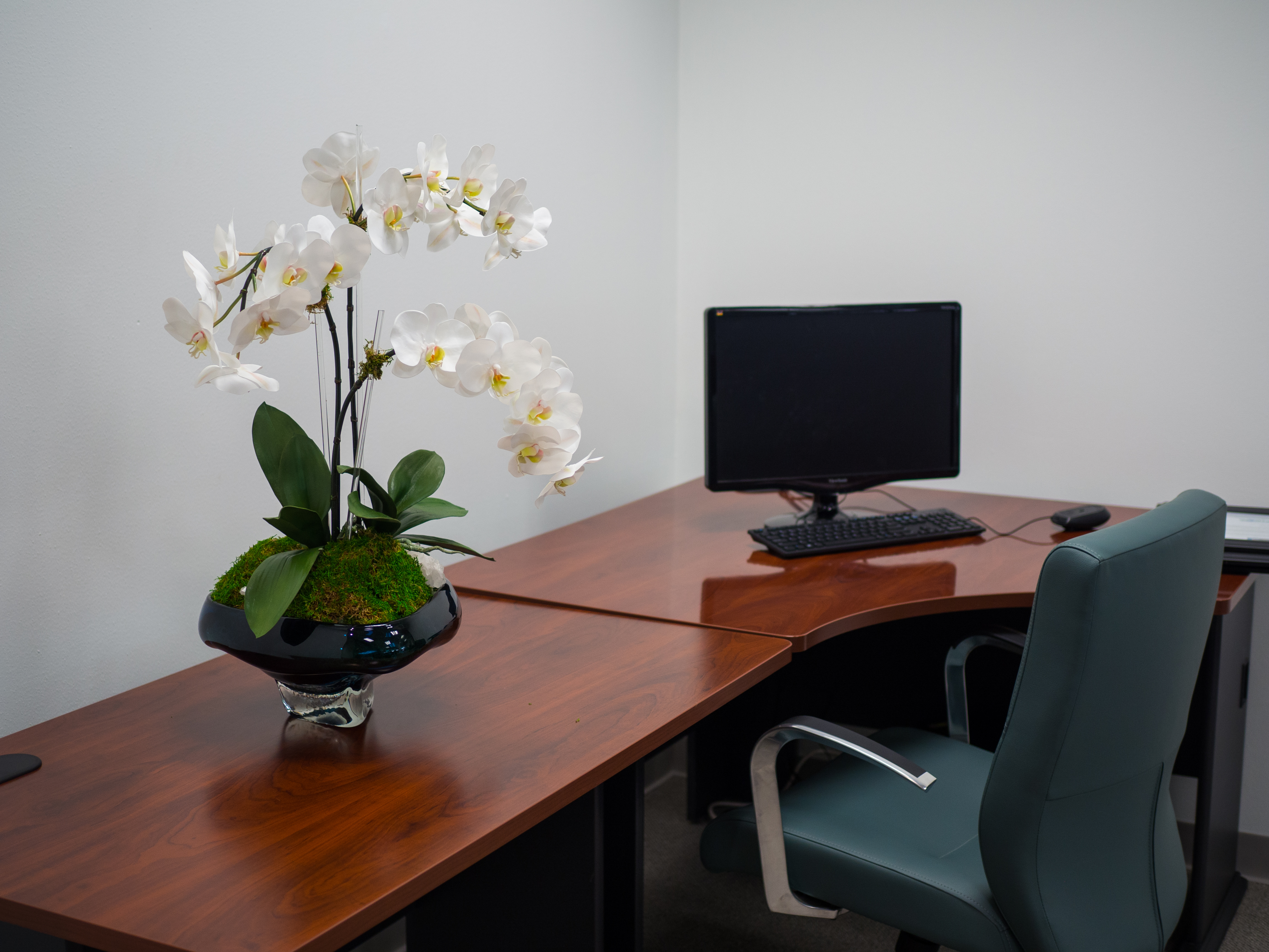 Orchid Arrangement