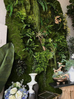 Preserved Moss Wall