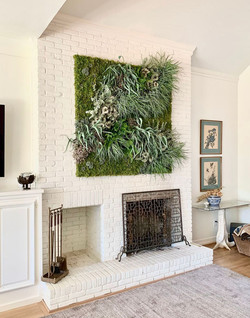 "Living" Wall