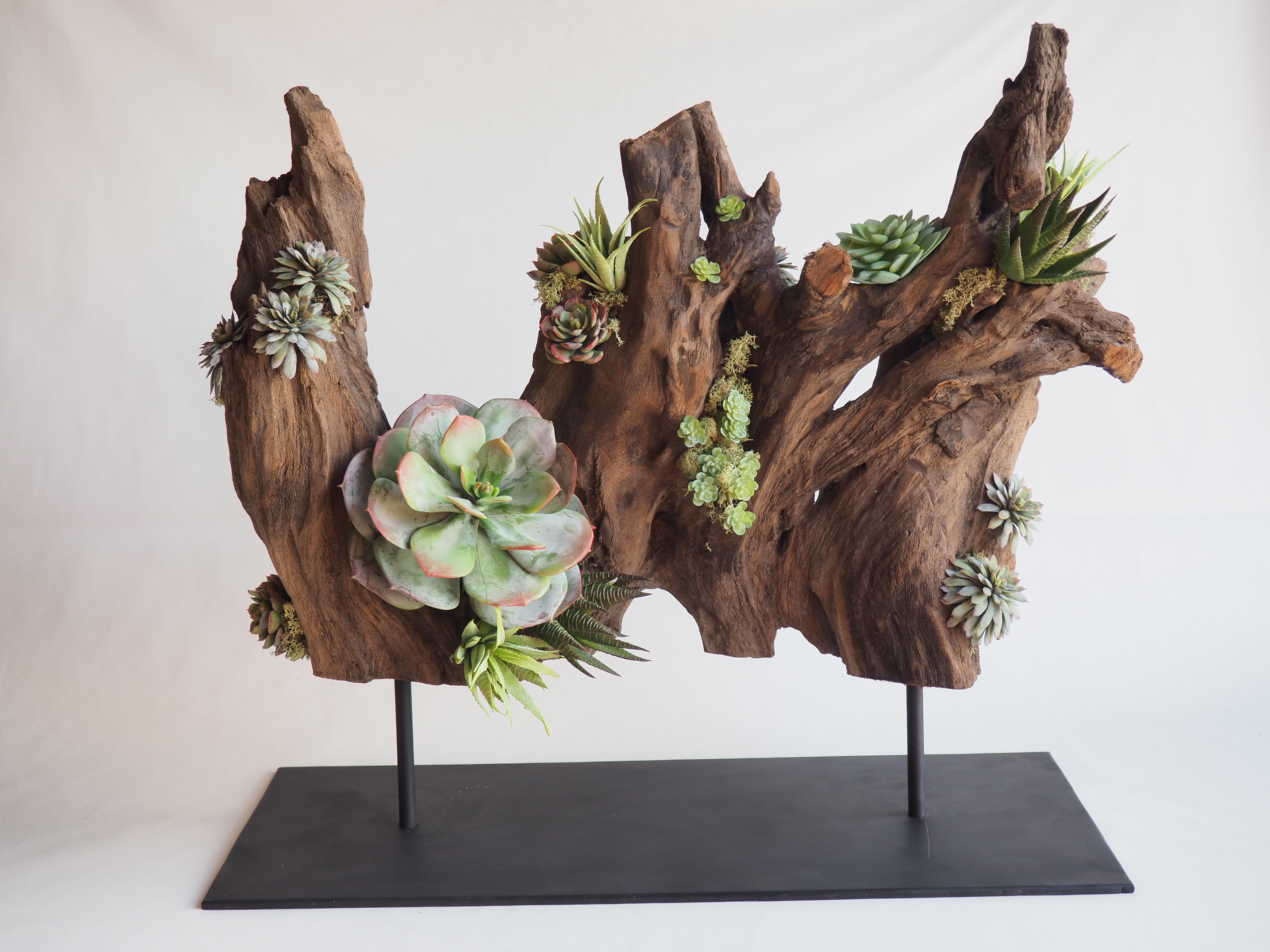 Succulent and driftwood Arrangement