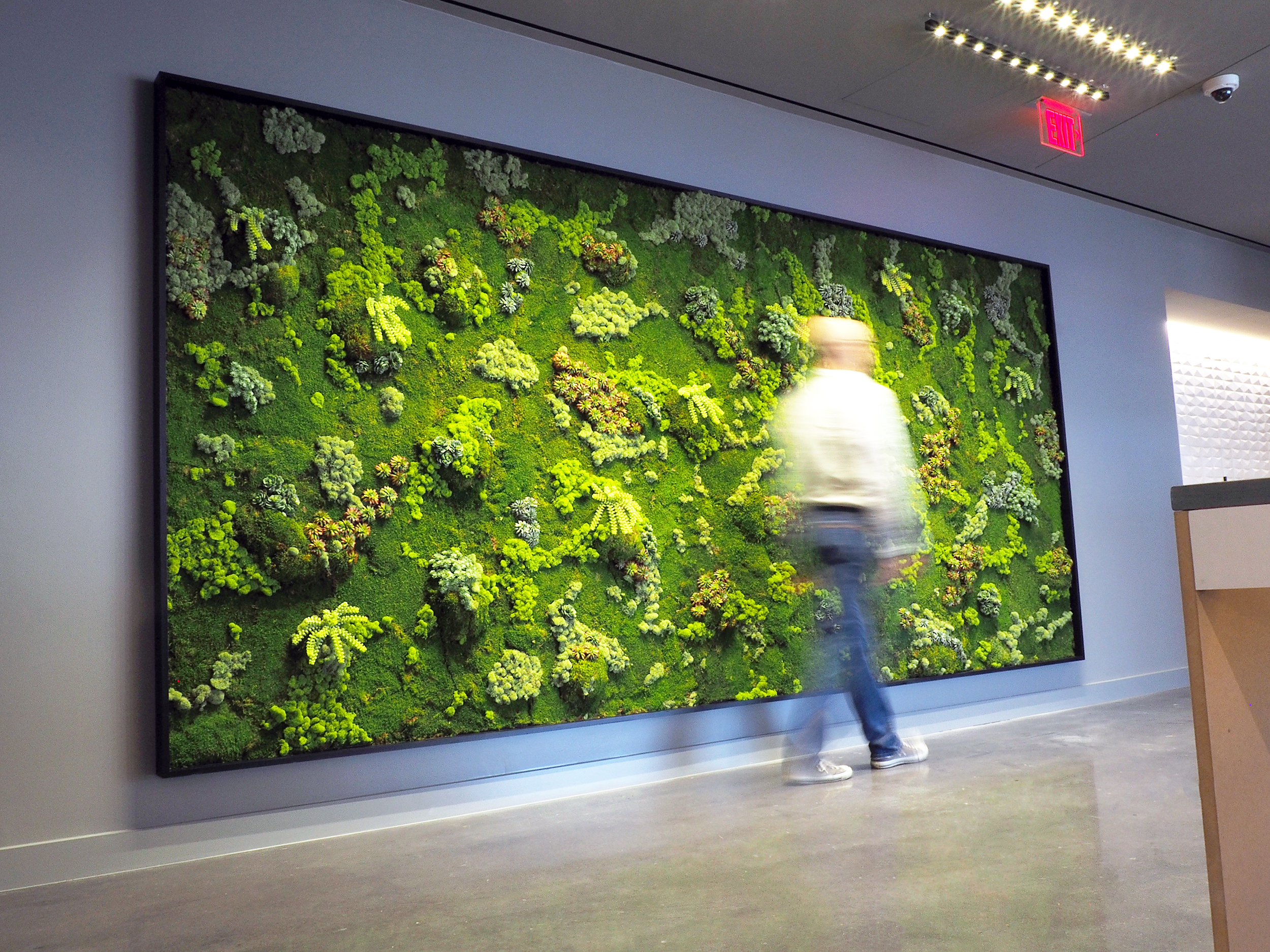 Framed "Living" Wall