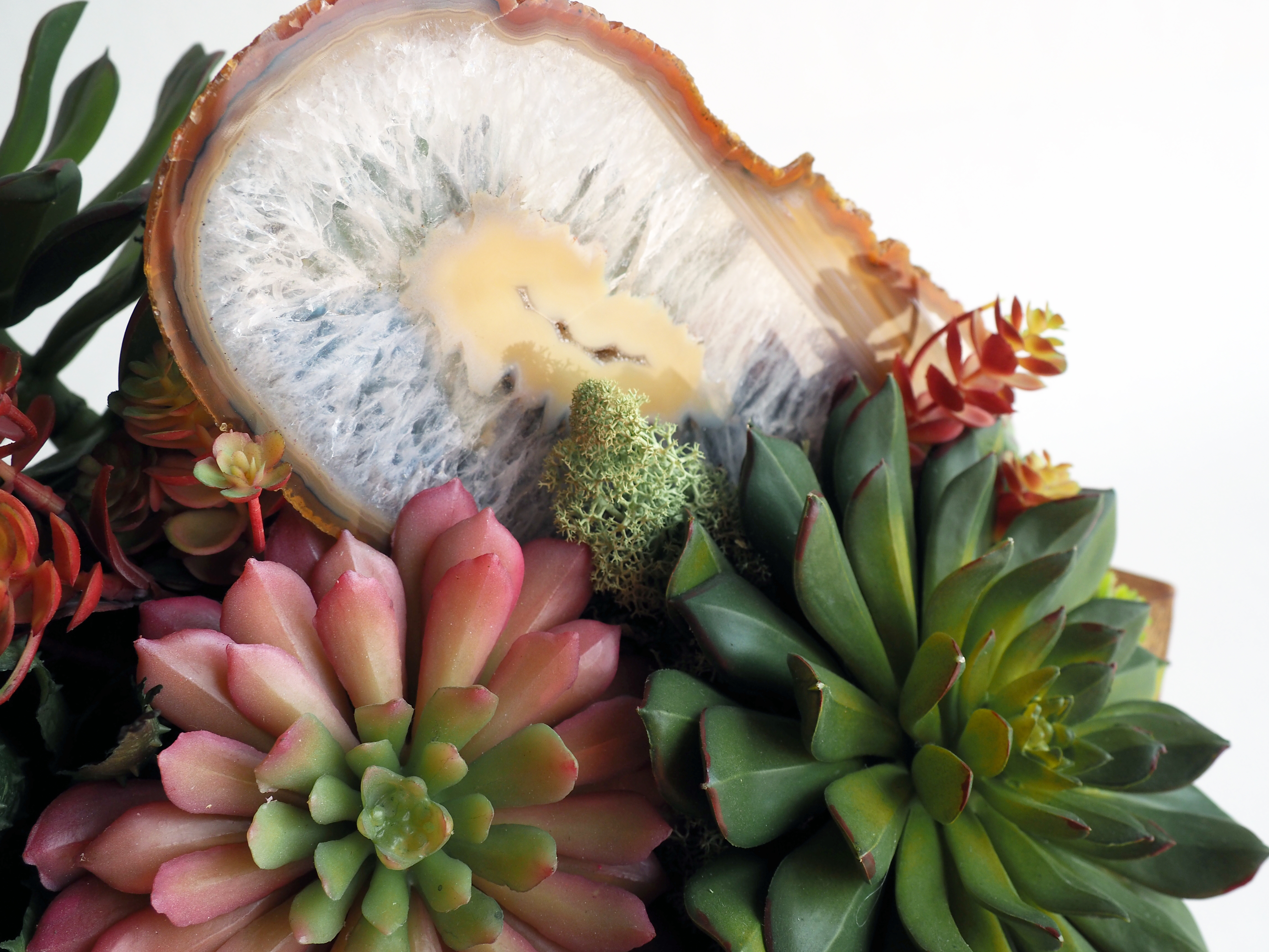 Mixed Succulent with natural stone