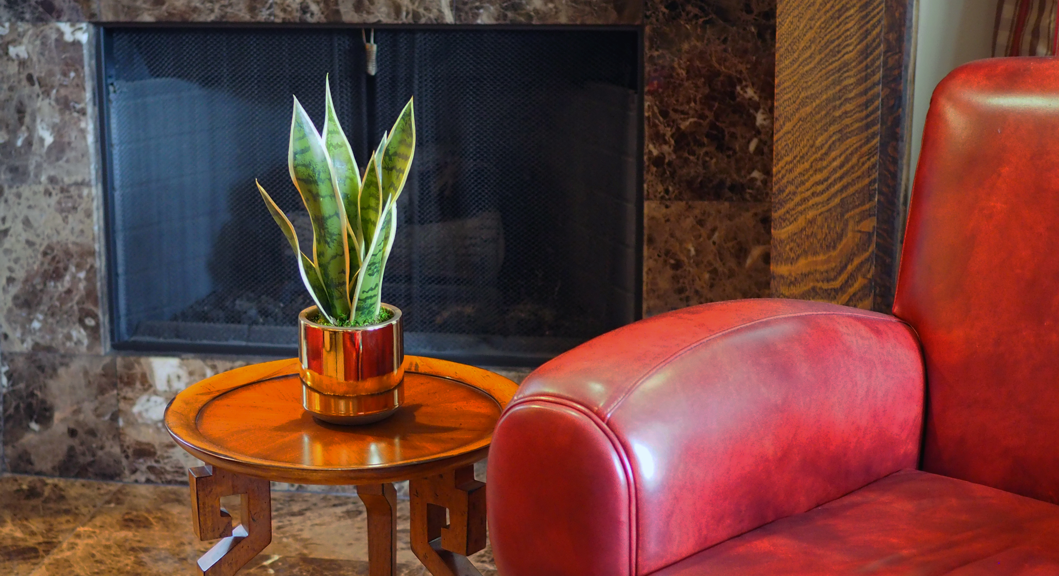 Faux Sansevieria in Gold Container