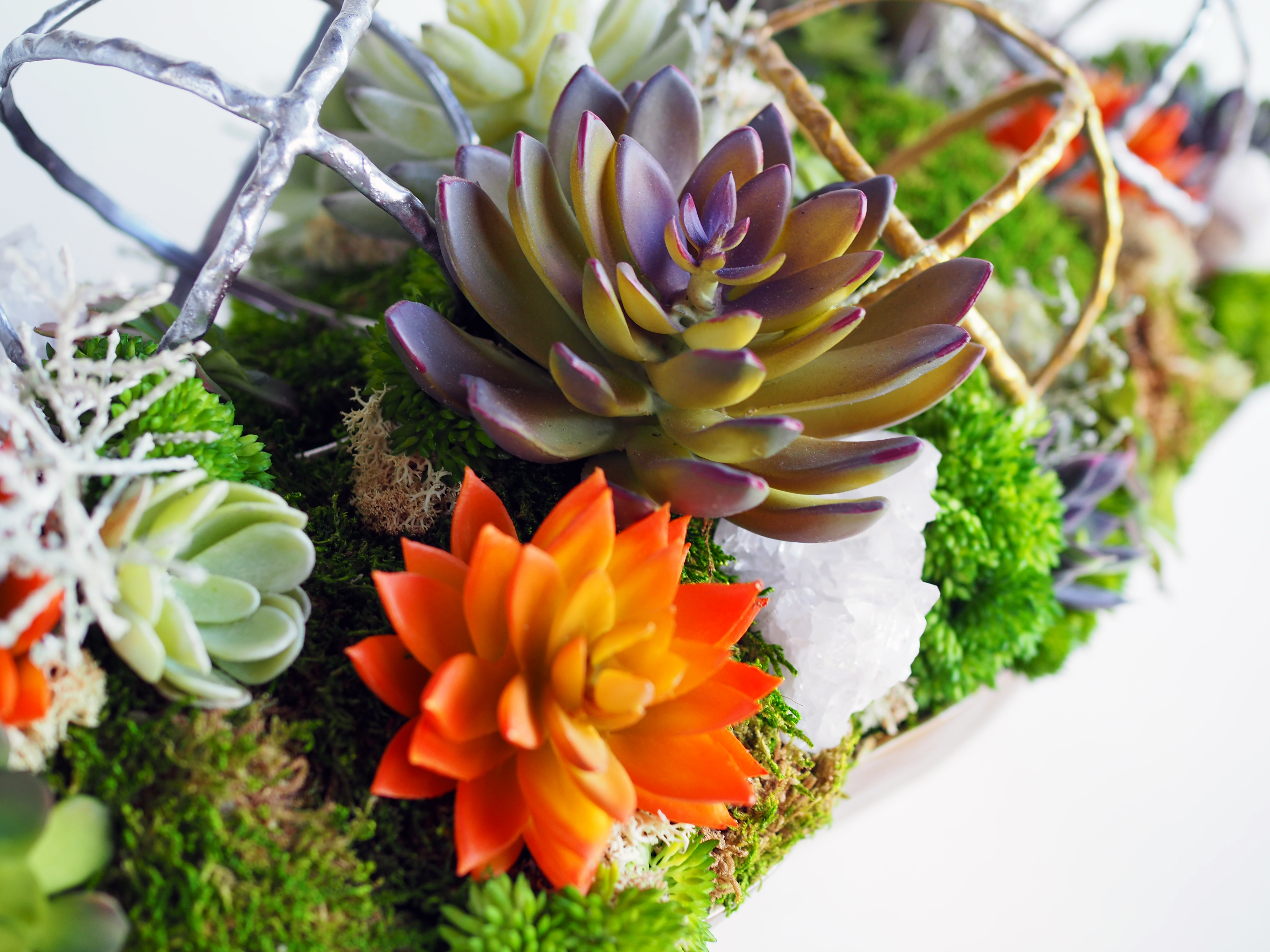 Mixed Succulents and Crystals