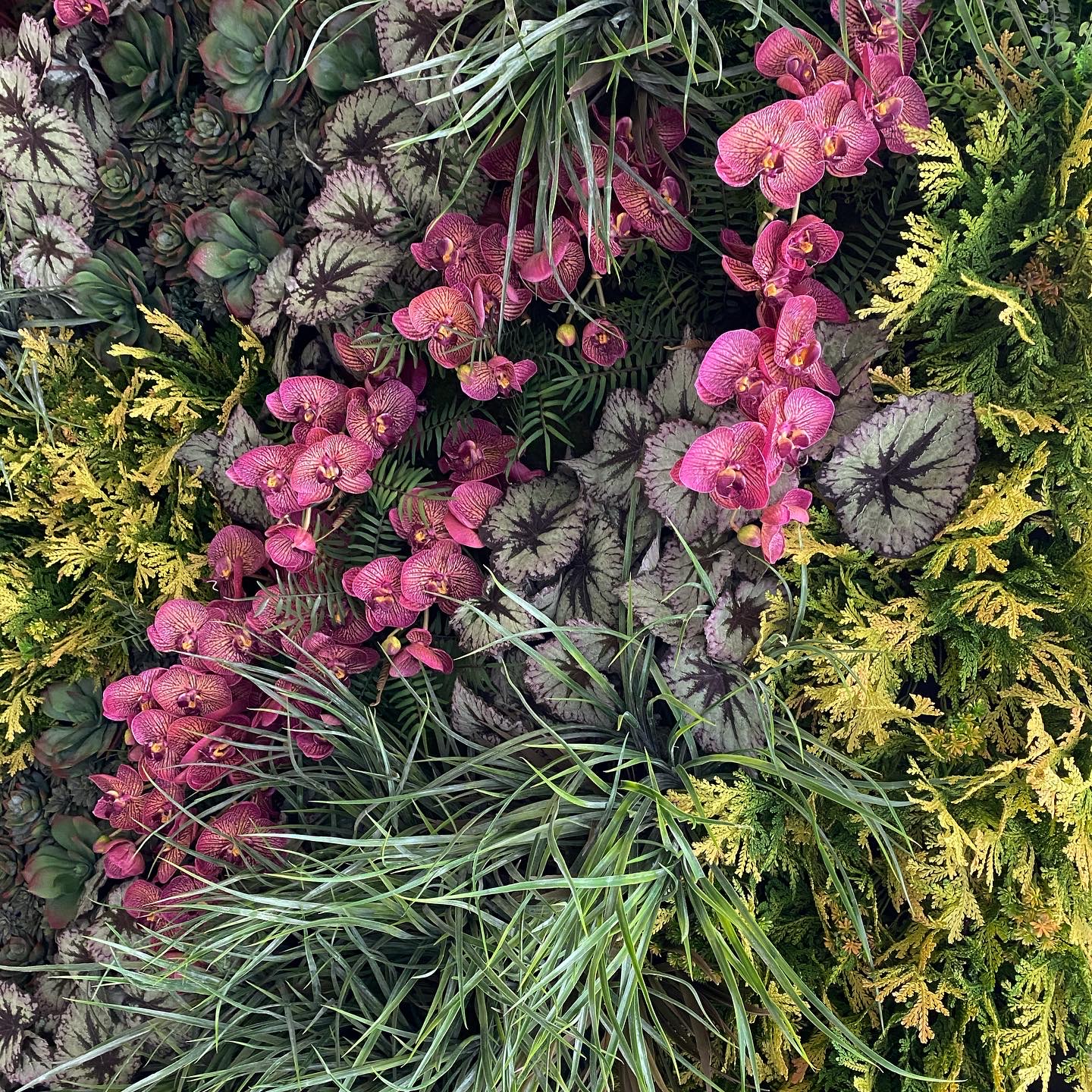 Planted wall detail