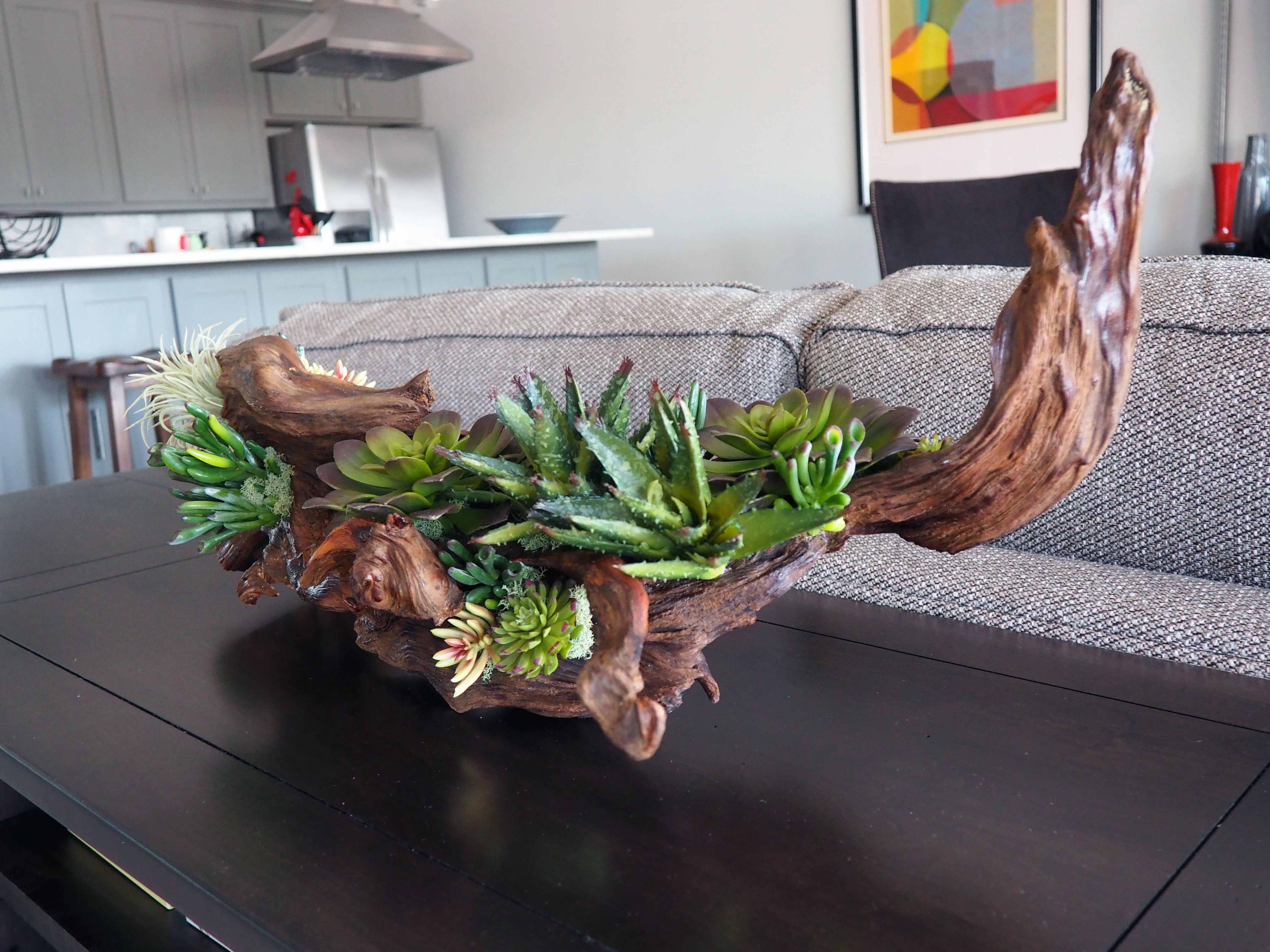 Succulent and driftwood Arrangement