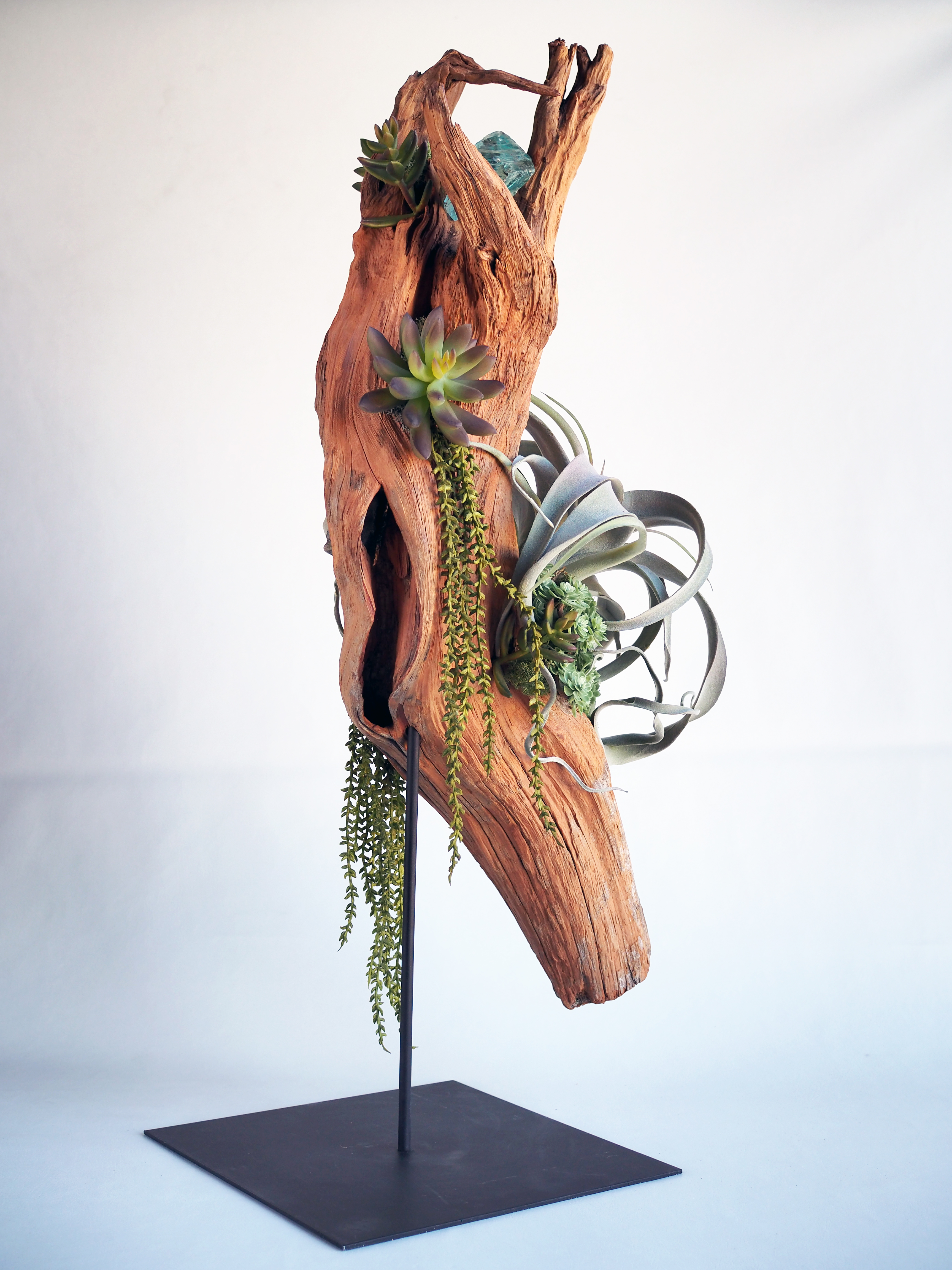 Driftwood Sculpture