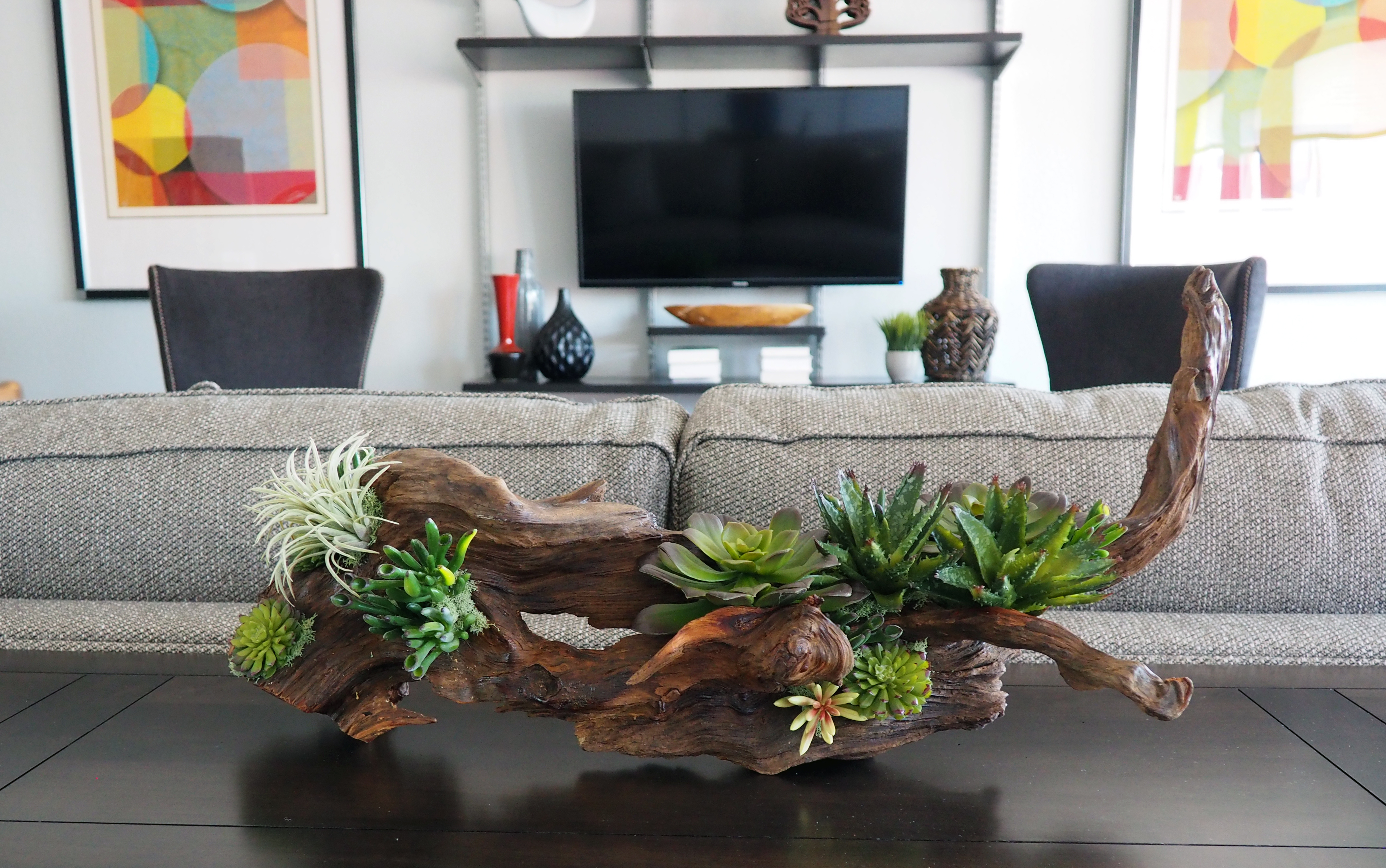 Succulent and driftwood Arrangement