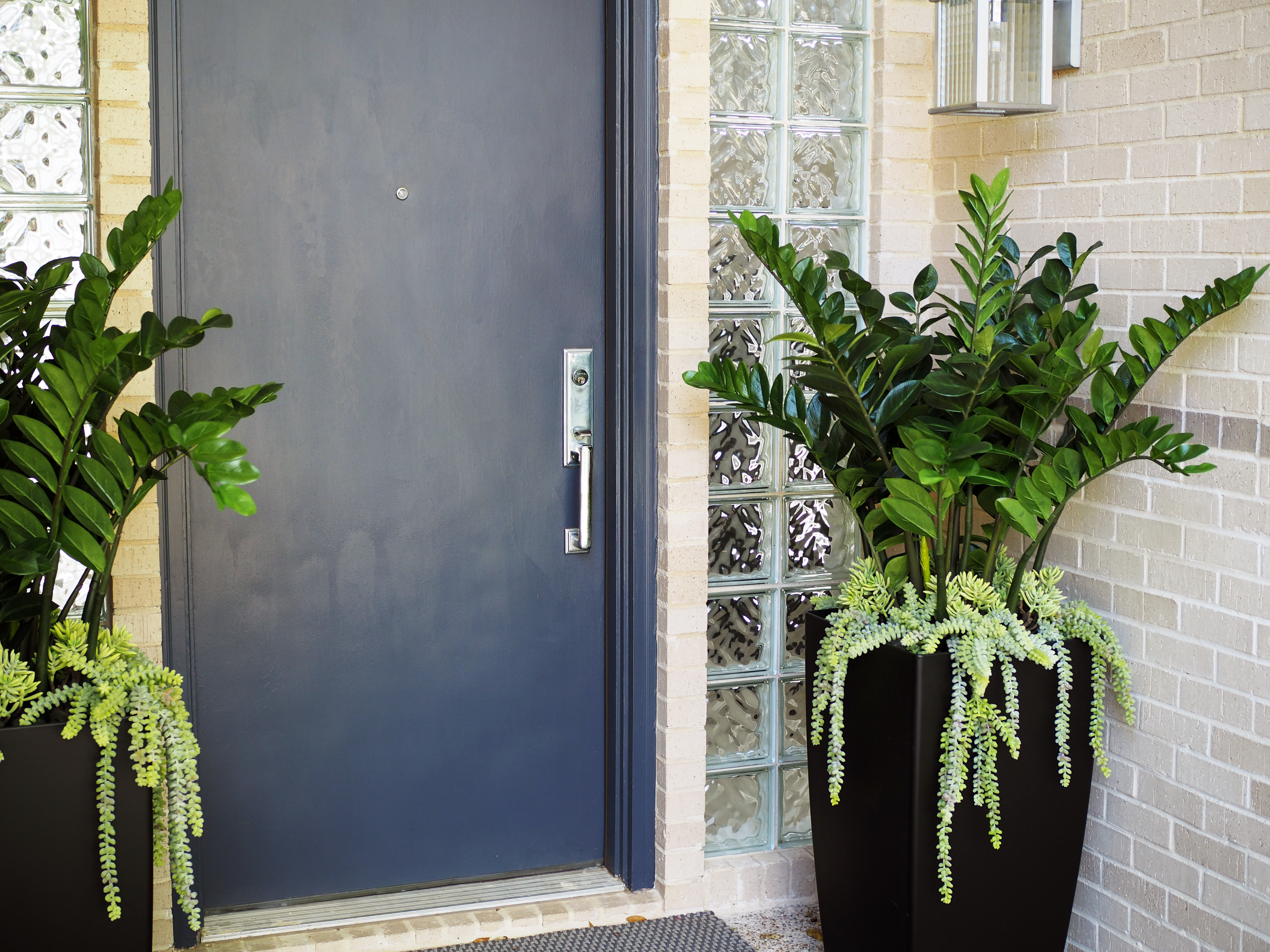 ZZ plant with Succulents