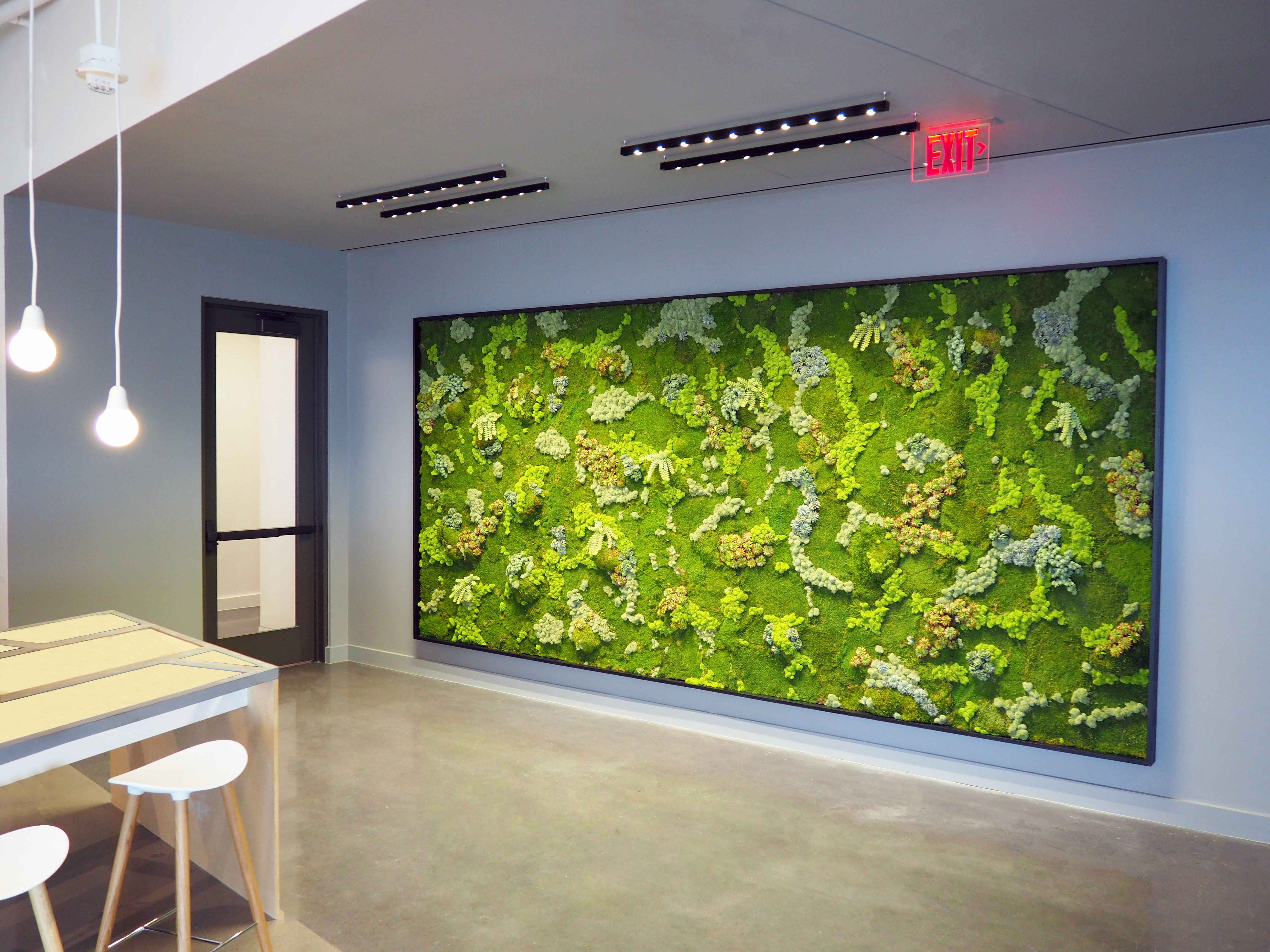Framed "Living" Wall