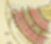 Food Atlas (web) 224.jpg