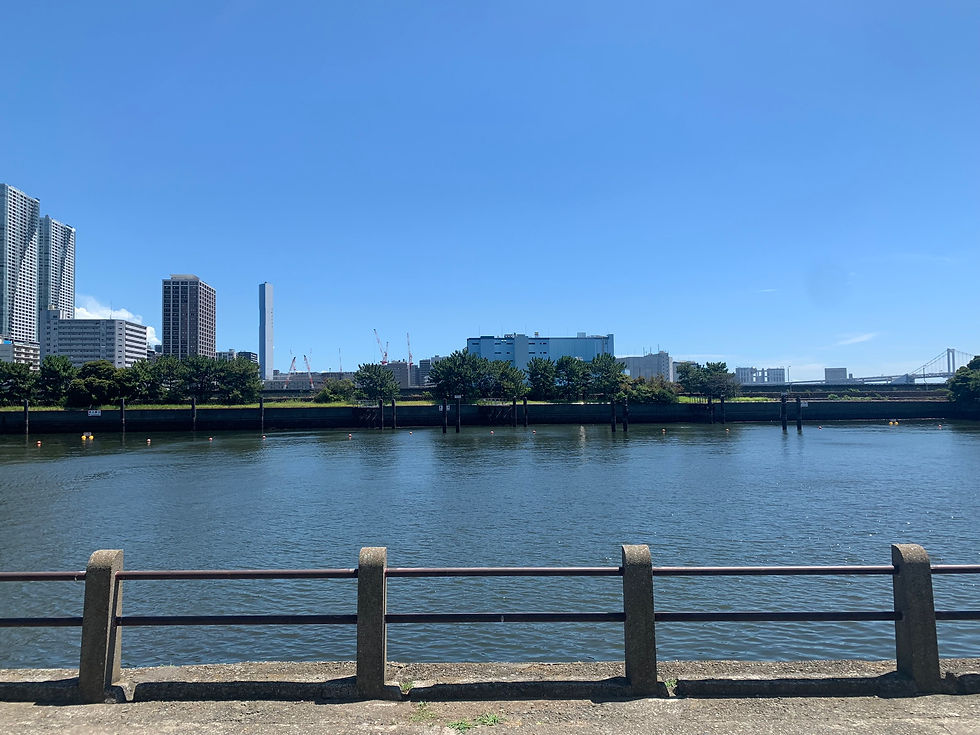 IMG_1549.JPEG