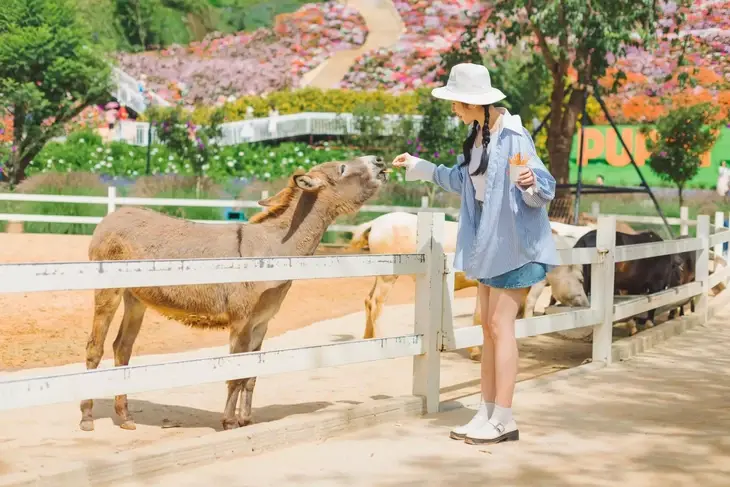 Nong Trai Cun Da Lat 8