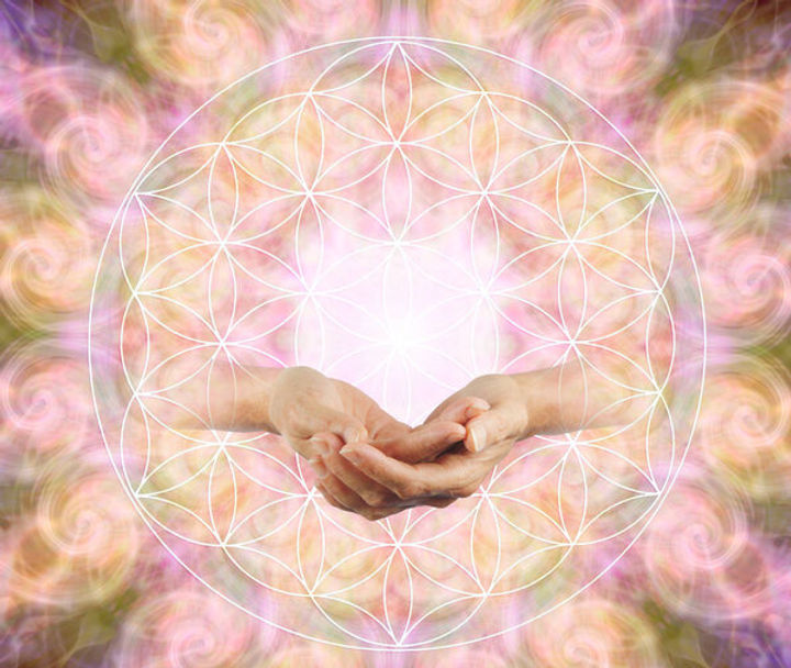 depositphotos_250862324-stock-photo-offering-flower-life-blessing-female.jpg