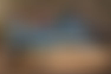 Top 7 Tiger Sighting Tips For Ranthambore Safari First-Timers