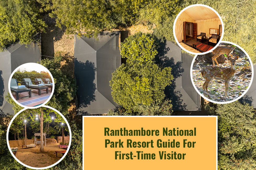 Ranthambore national park resort guide for first-time visitors