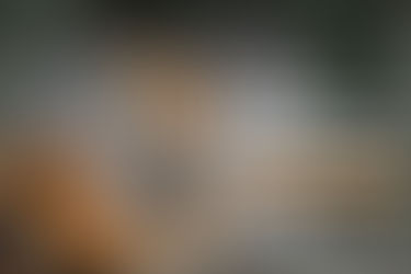 Explore Ranthambore National Park: Tigers & Travel Guide