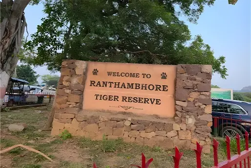 What Is the Ideal Duration for a Ranthambore Trip?