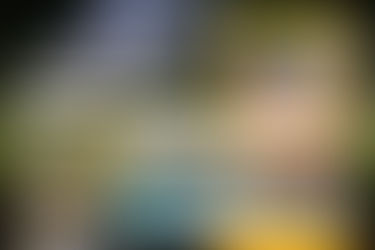 A Memorable Night in a Ranthambore National Park Resort