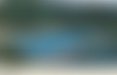 Frolicking in the hay wagon