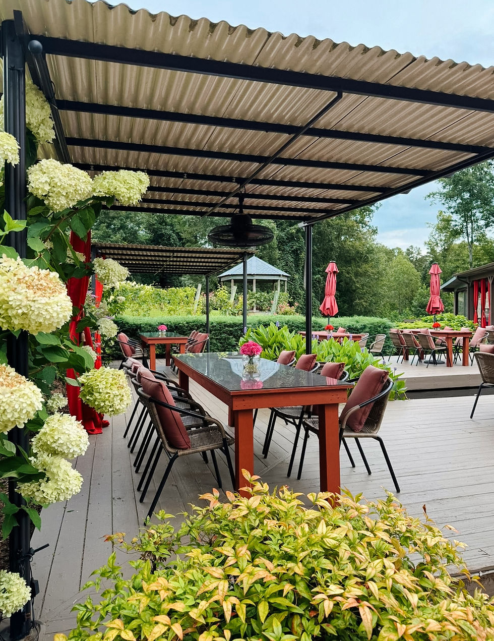 Outdoor patio with a long table, red chairs, and pink flowers. Surrounded by greenery and large white blooms, under a corrugated roof. Peaceful vibe.