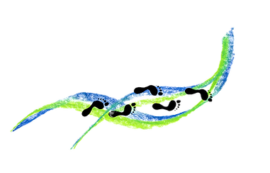 naturheilpraxis-happy-feet