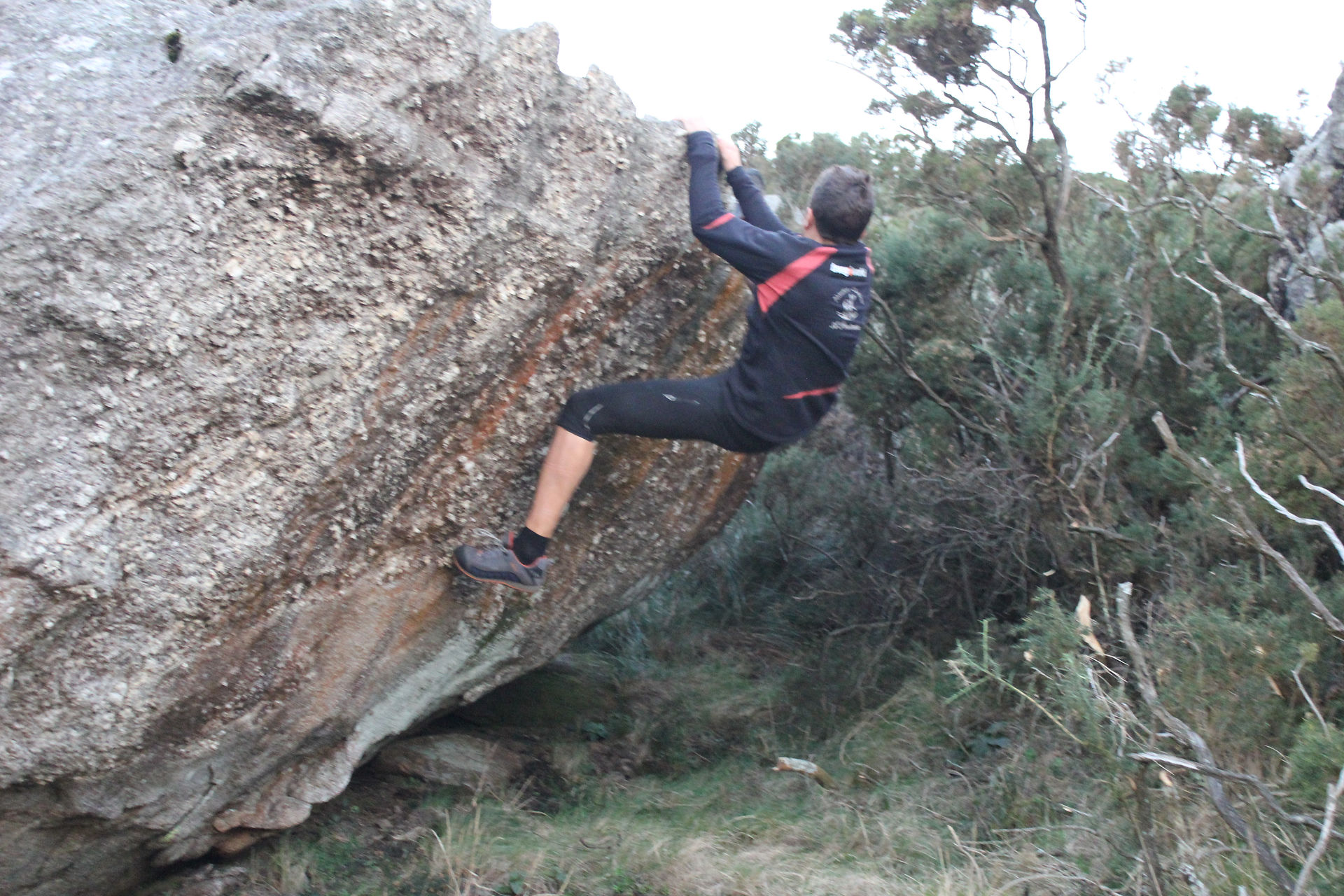 Boulder serpal