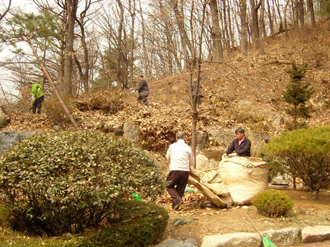 운영위원 봉사활동