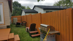 fence 2.jpeg