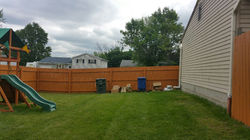 fence 1.jpeg