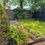 Thumbnail: DE24, Derby, 3 Bed 1 Bath, Semi Detached House, R2SA