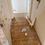 Thumbnail: OX4, Oxford, 5 Bed 2 Bath, House, R2SA/R2R
