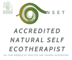 ACCREDITED NSET .png
