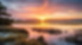 vecteezy_ai-generated-tranquil-coastal-marsh-with-sunlight-and_40145628.jpg