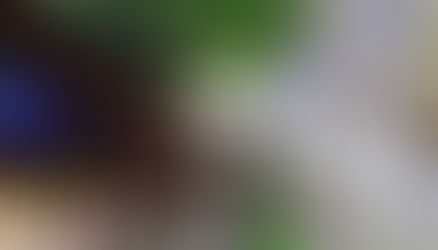 動画「有松天満社花暦」公開中