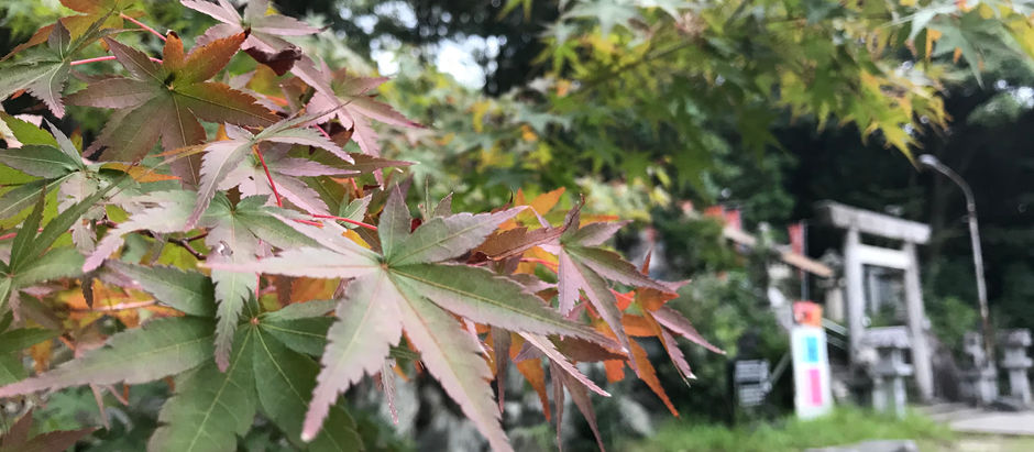 名鉄沿線おでかけマガジン「Wind 2018年 9号」にて紹介されました!!