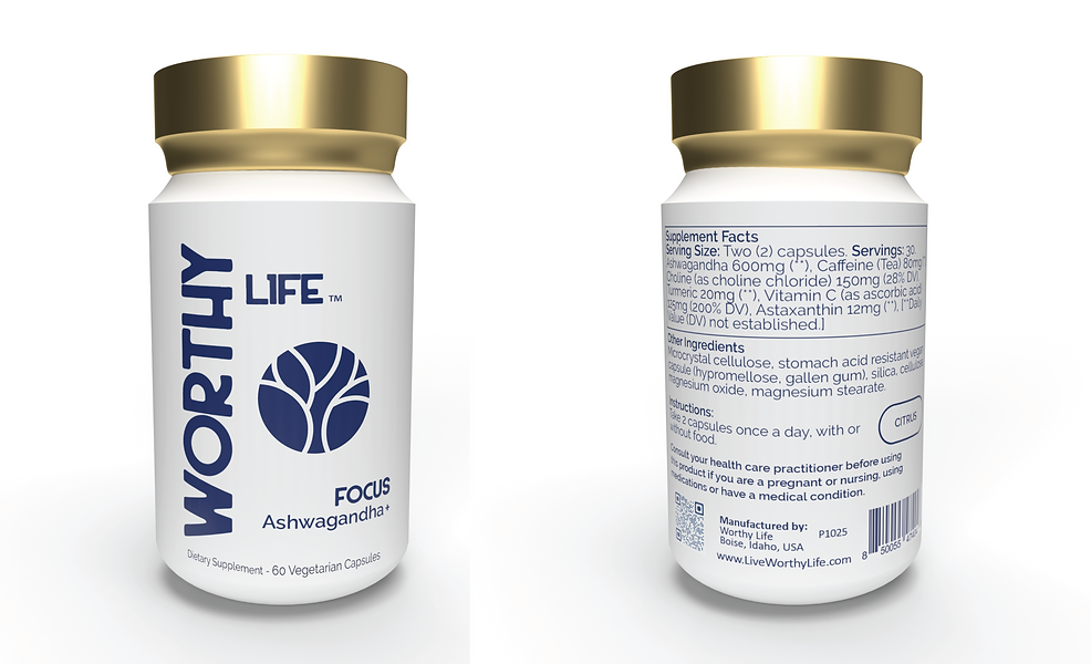 Focus front back.png