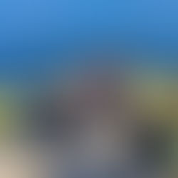 Pilgrims Once More: Rediscovering Faith on the Camino de Santiago