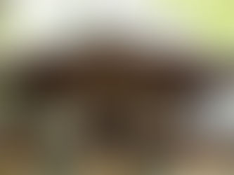 28日 湯福神社で茅の輪くぐり